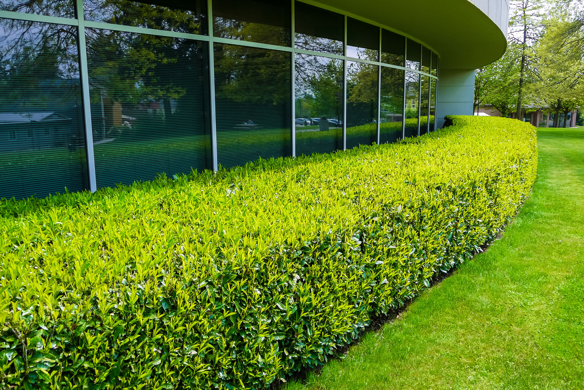How Property Managers and HOA Boards Can Choose the Right Maintenance Partner